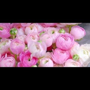 Meet your Posher, Pegah